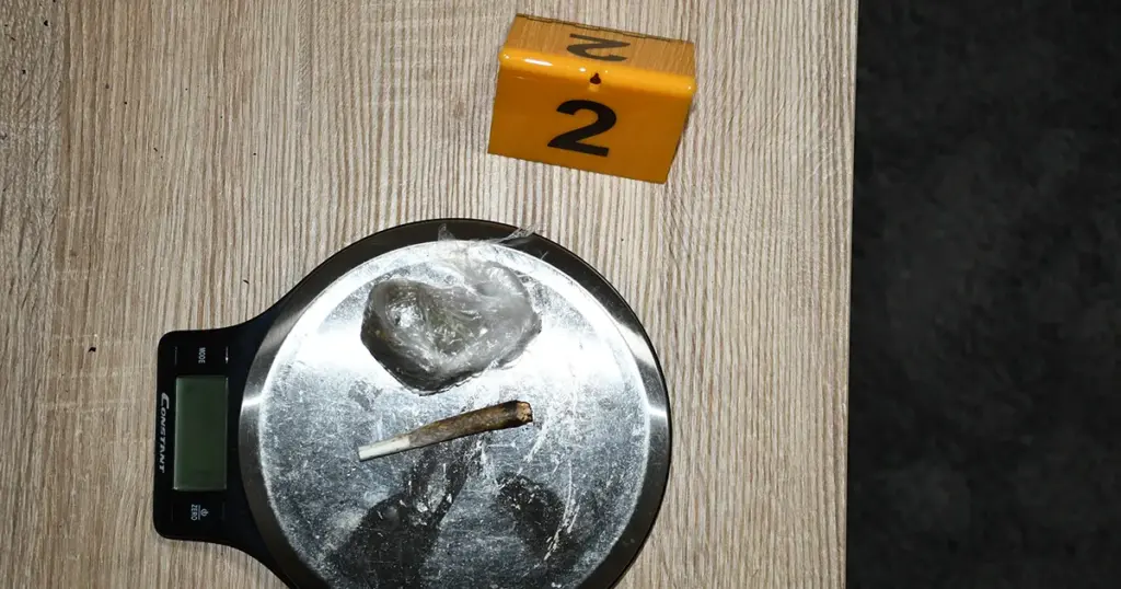 Policija objavila šta je sve pronašla