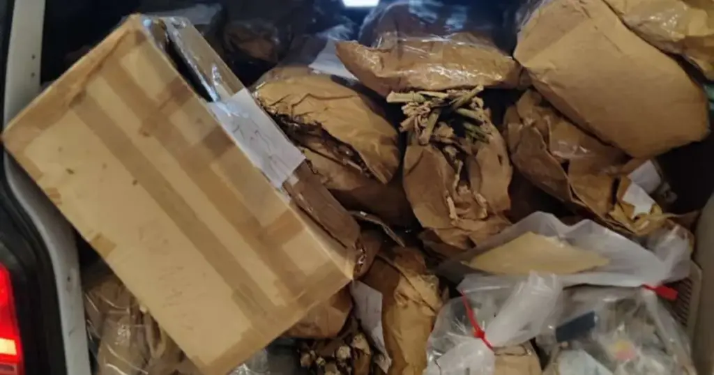 U Mostaru uništena veća količina oduzete droge
