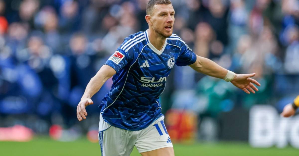 edin dzeko