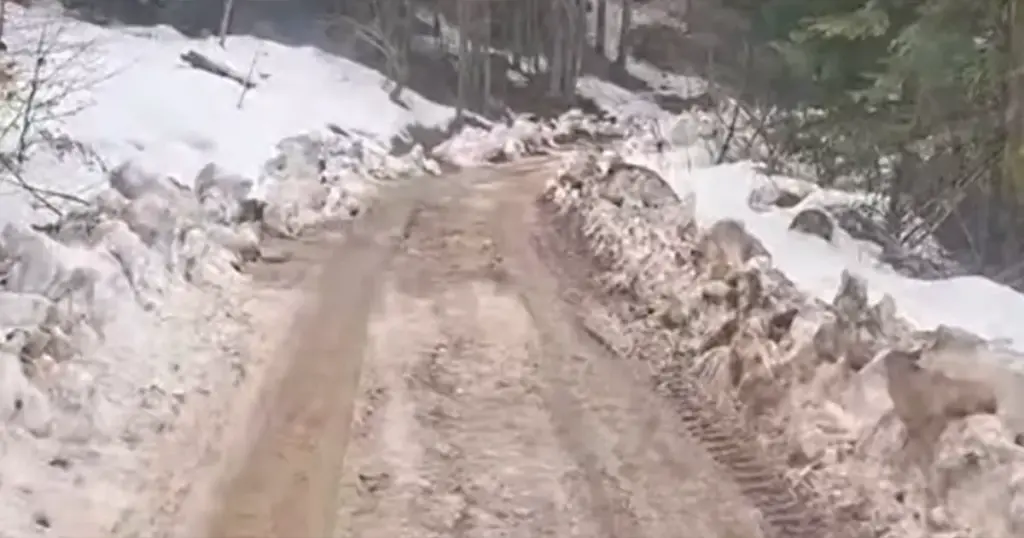 Alternativni put Foča-Trnovo