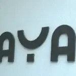 Hayat
