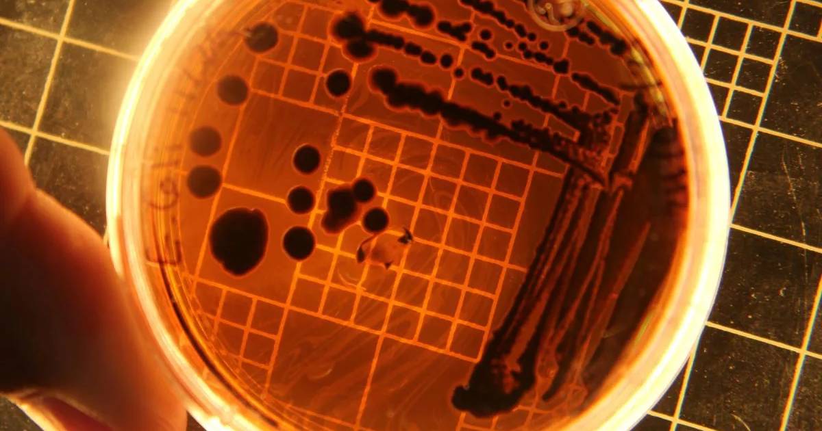 laboratorija