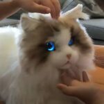 Ove mačke-roboti mogle bi pomoći u smanjenju stresa kod djece