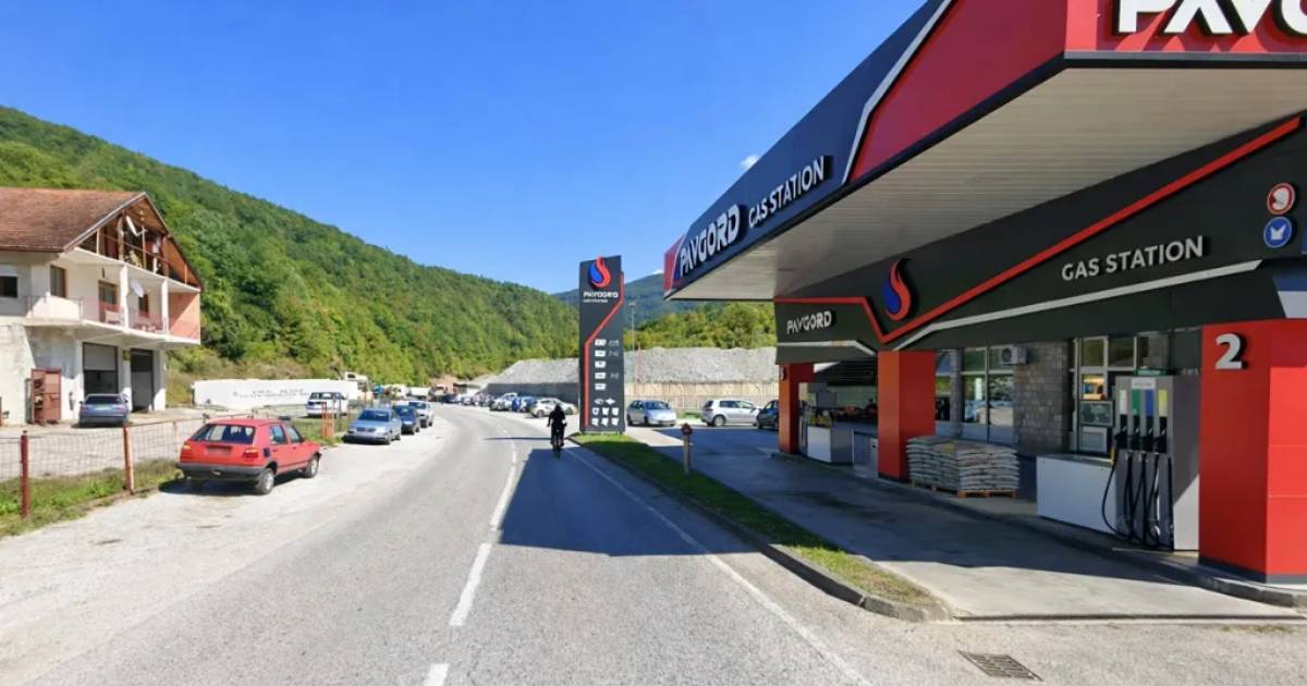 pavgord foča