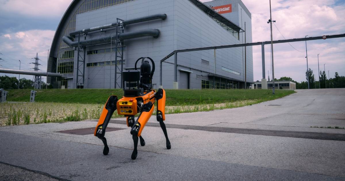 robotski psi