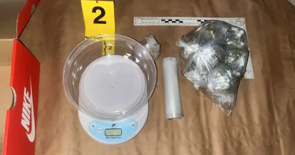 Akcija “Rođendan”: Kod muškarca u Sarajevu nađena droga i oružje