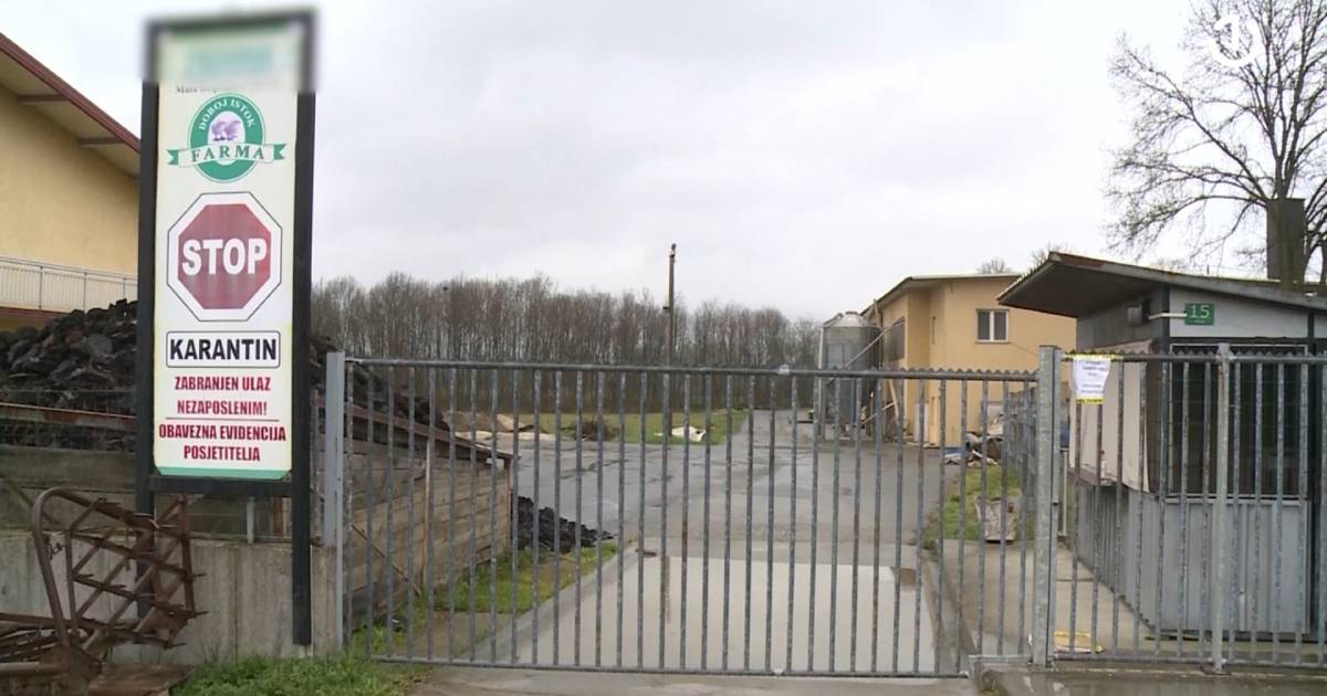 Zabrana izvoza pilećeg mesa