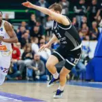 bosna partizan