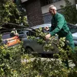 nevrijeme oborilo drvo na automobile