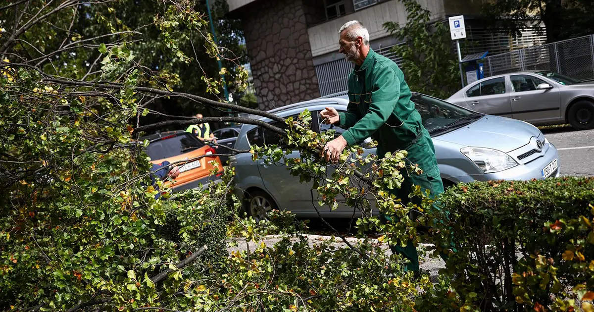 nevrijeme oborilo drvo na automobile