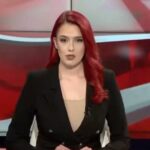 Dnevnik FTV