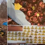 Pronađen životinjski otpad na području Bijeljine