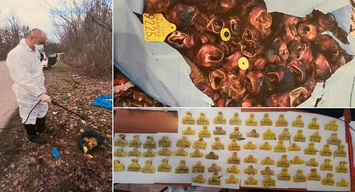 Pronađen životinjski otpad na području Bijeljine