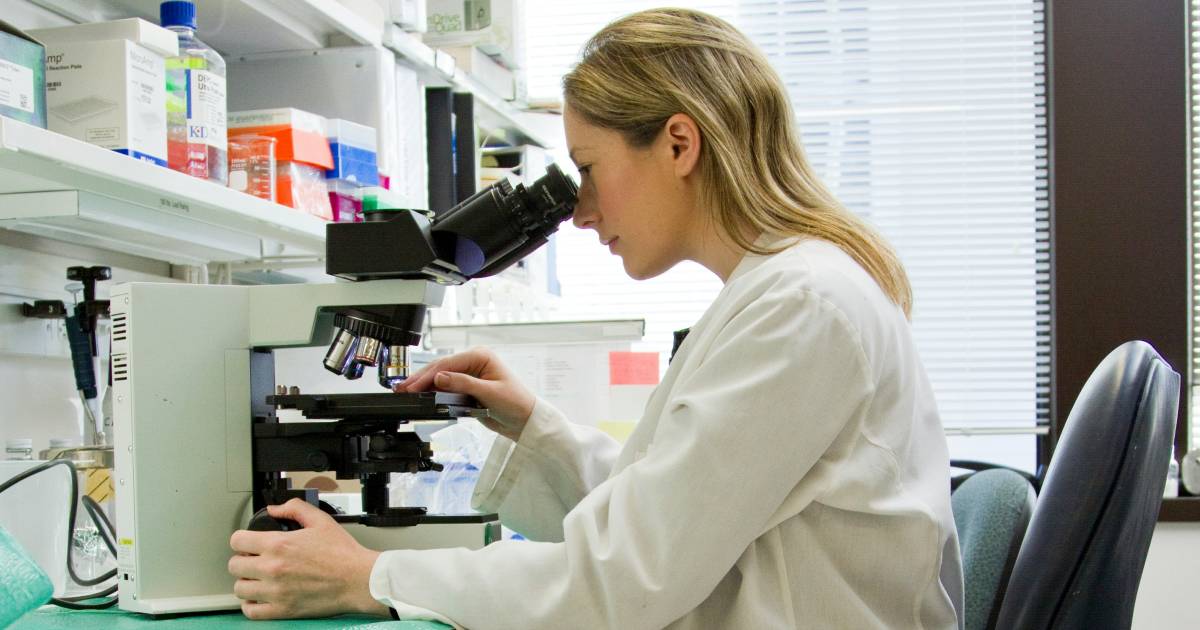 laboratorija mikroskop
