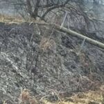 Palili njivu pa ostavili naselja bez struje