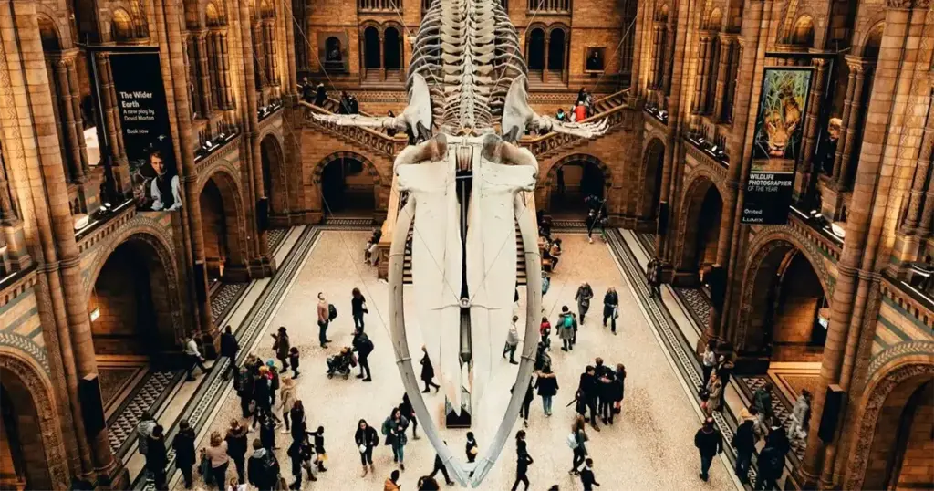 Vlada Velike Britanije razmatra naplatu ulaza turistima u muzeje radi finansiranja umjetnosti