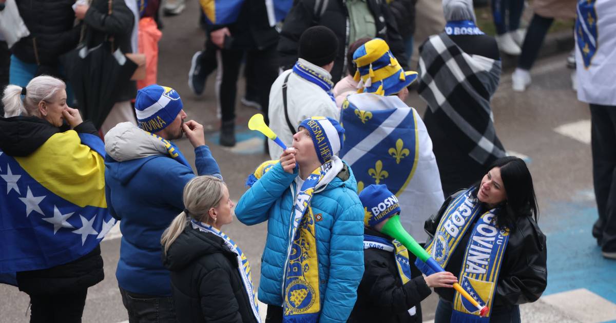 navijaci bih zenica