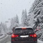 nisici snijeg