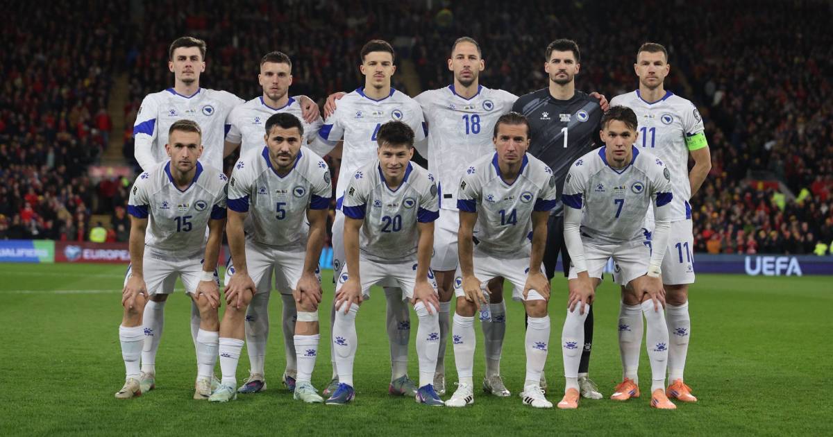 nogometna reprezentacija bih zmajevi