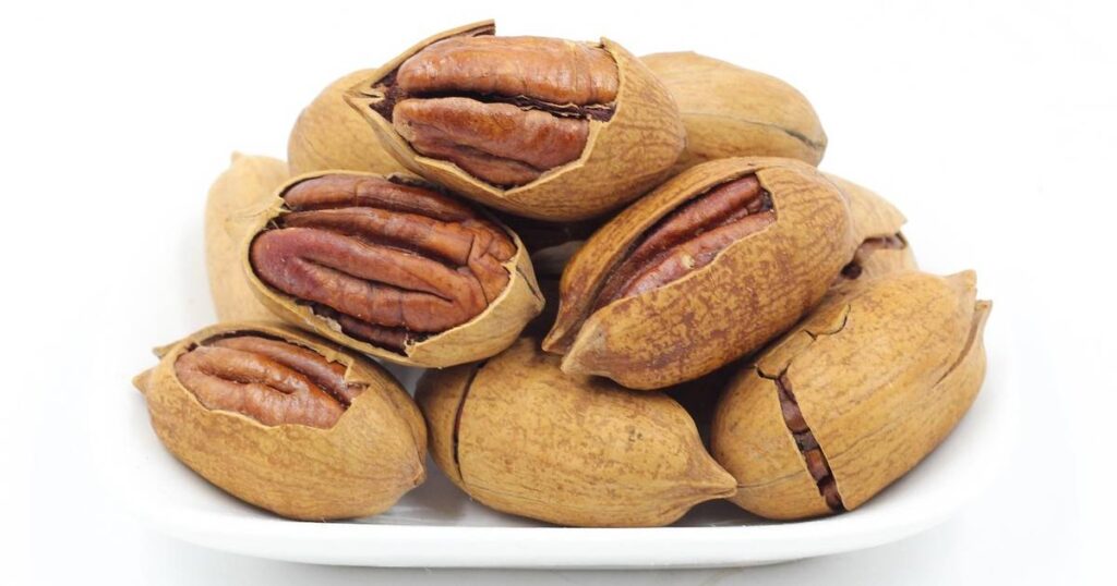 pekan orasi