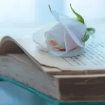 poezija