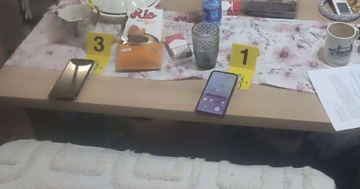 Pet osoba uhapšeno zbog dječije pornografije