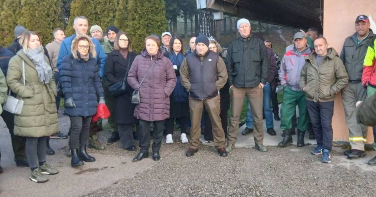 Šumsko gazdinstvo Čemernica