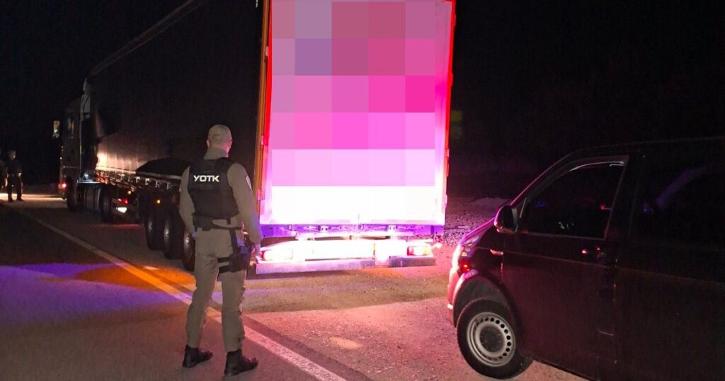 U kamionu pronađeno 38 migranata, bili sakrivreni u drvima