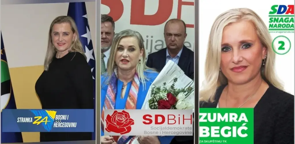 Sve stranke Zumre Avdibegović-Begić 