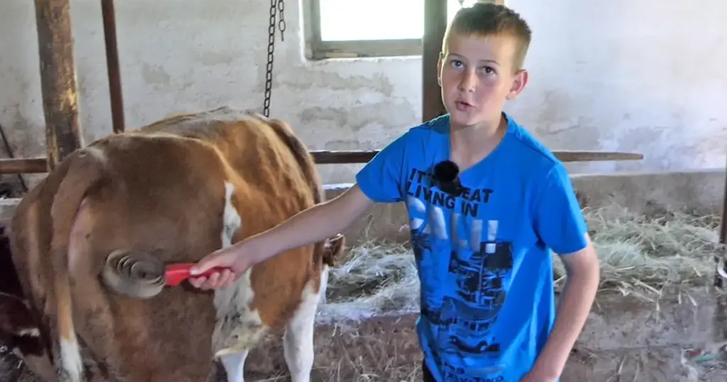 Dječak Asim je umjesto ekrana izabrao težak rad: “Šta će mi telefon kad nemam od njega koristi”