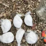 Pronađena droga u Banovićima
