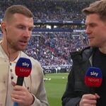 edin dzeko schalke