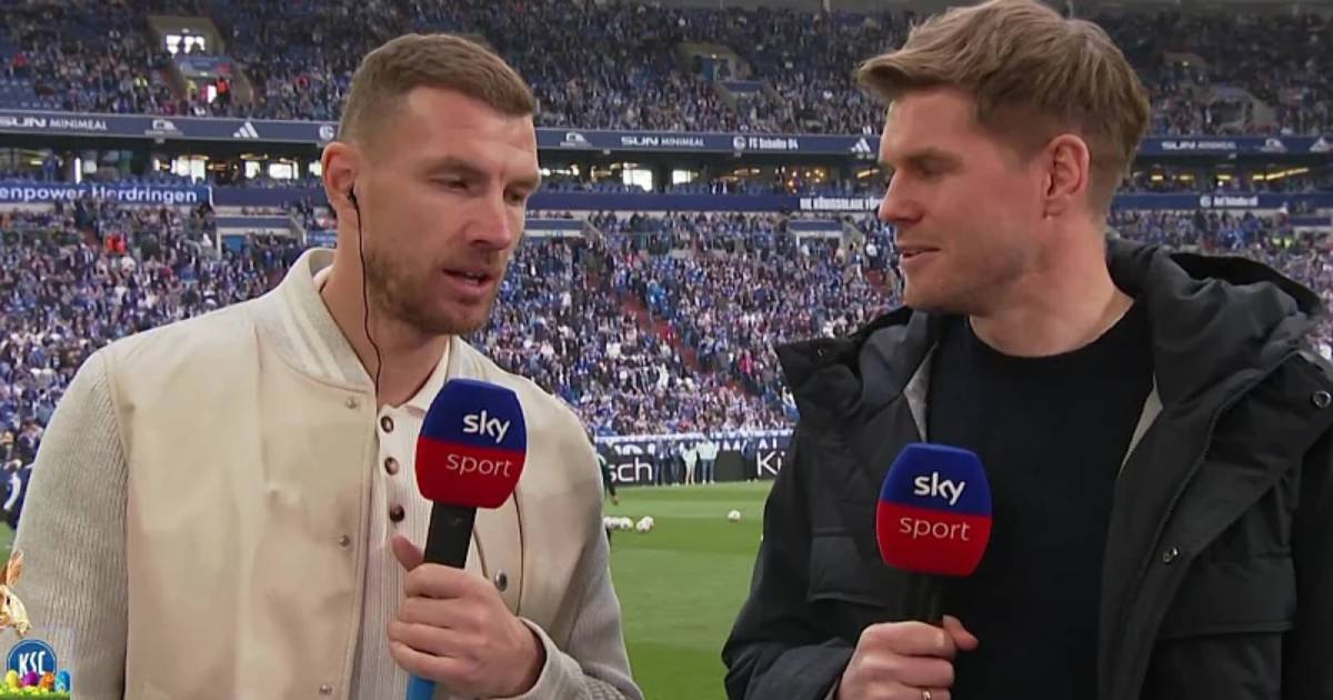 edin dzeko schalke