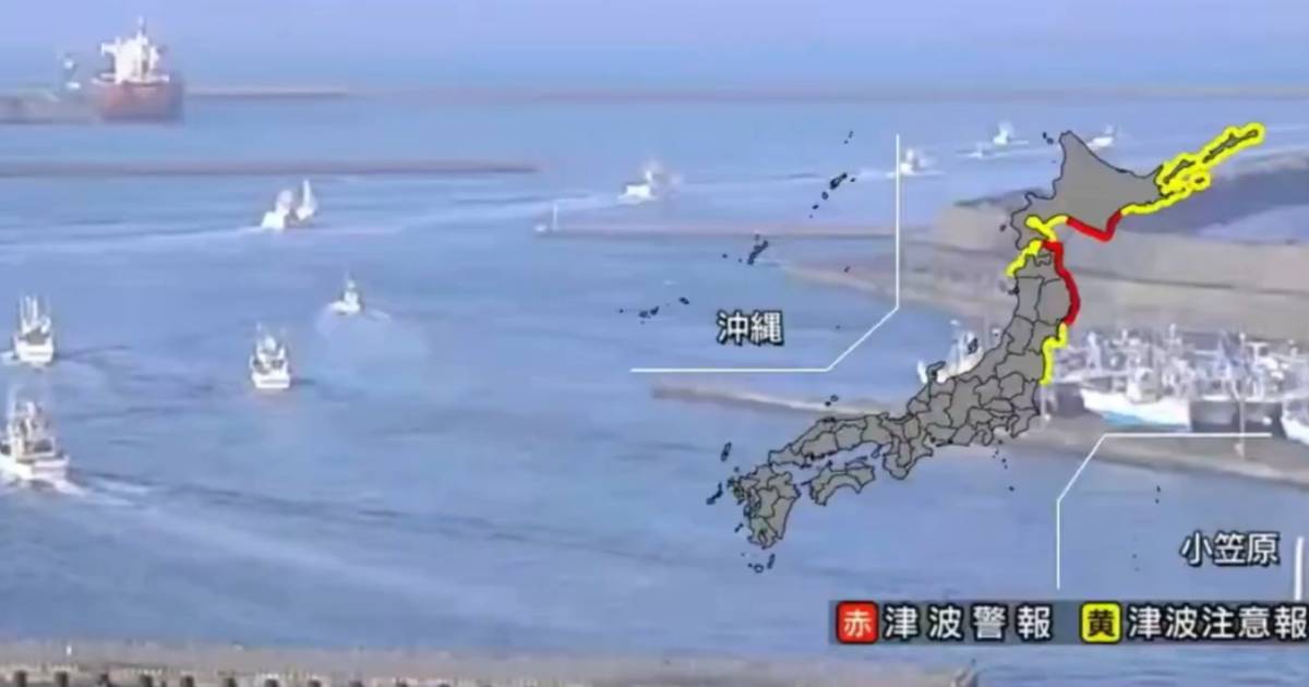 japan cunami