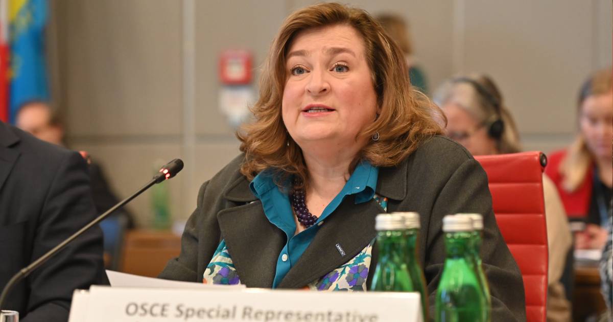 Kari Johnstone osce
