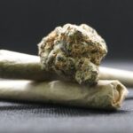 marihuana kanabis