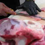 meso mesnica hrana
