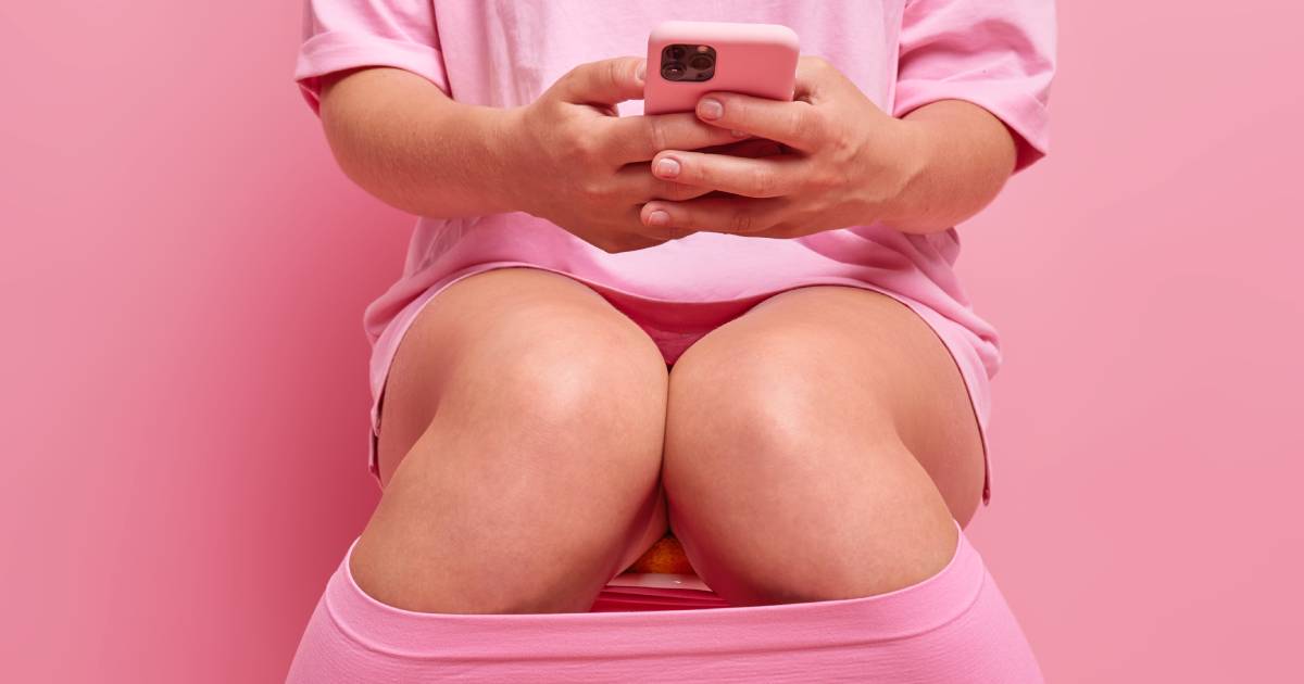 mobitel toalet wc