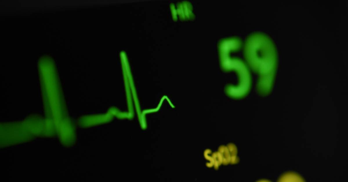 puls