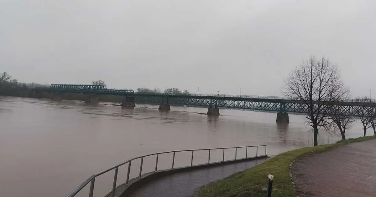 Visok vodostaj Save