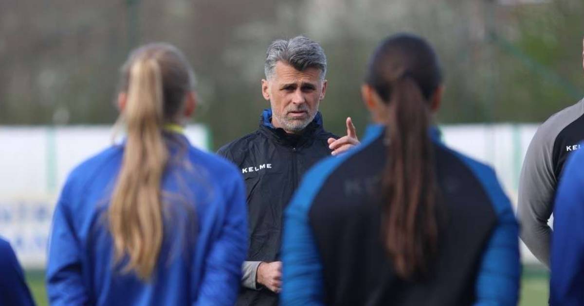 selver hodžić