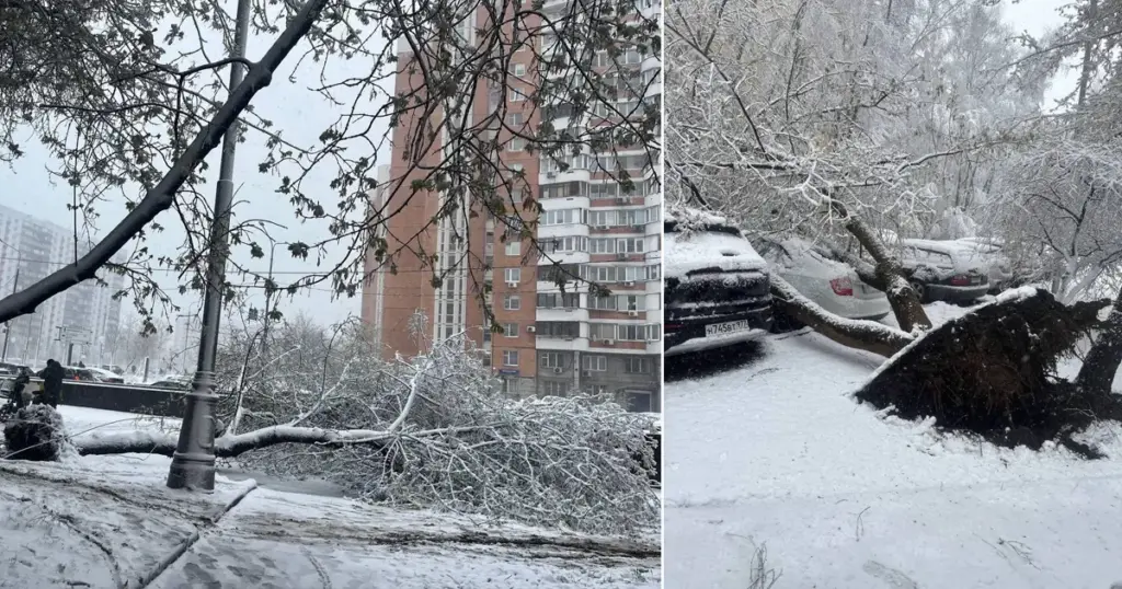 Usred proljeća pogodila ih velika zimska oluja, snijeg čupao stabla iz korijena