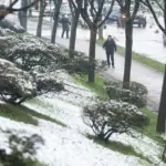 Proljetni snijeg u Sarajevu
