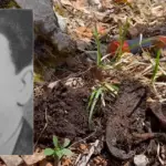 Nađeni ostaci za koje se vjeruje da pripadaju narodnom heroju Iliji Španoviću