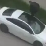 tuzla automobil zlokovac