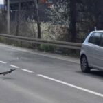 Automobil udario djevojčice na električnom romobilu