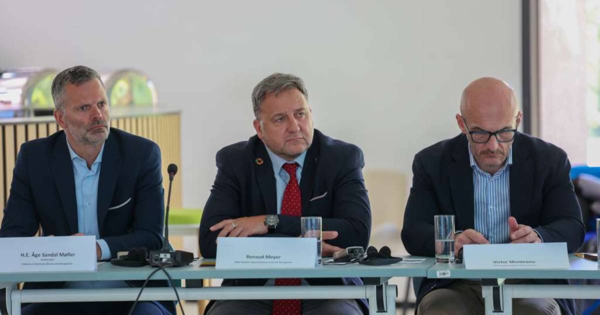 undp meyer