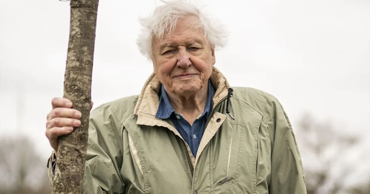 David Attenborough