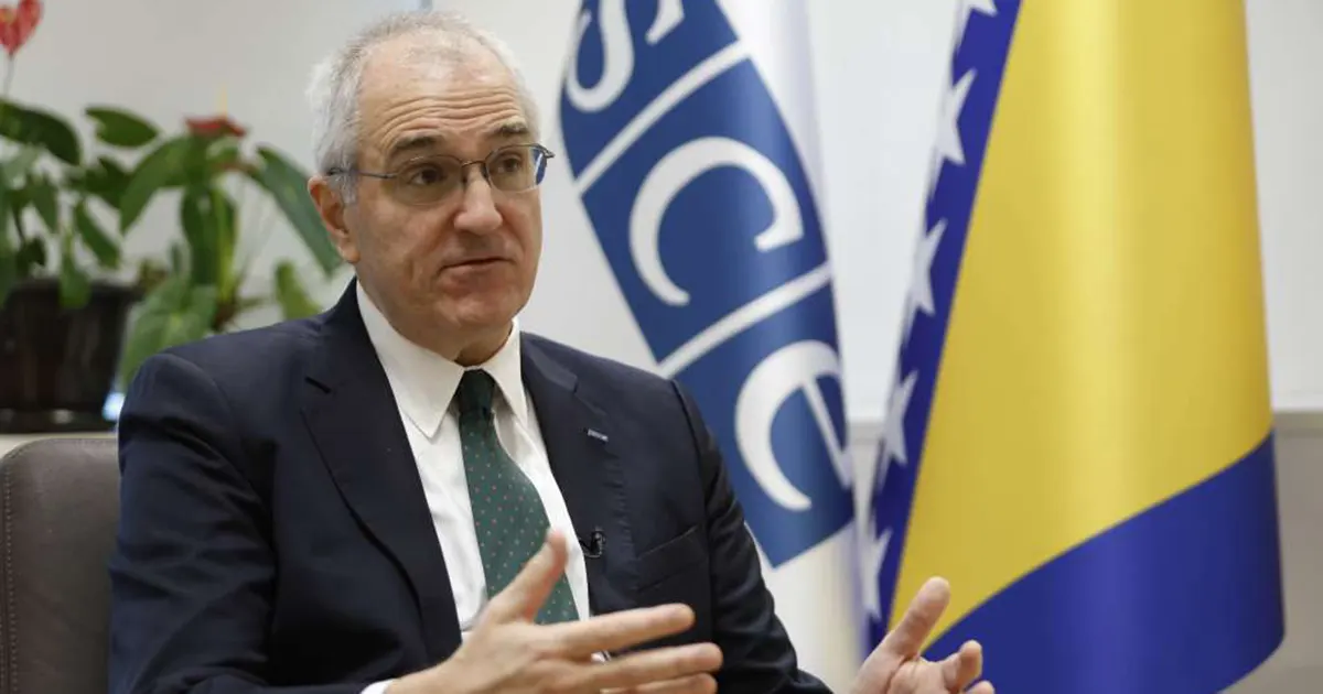 Holtzapple: Nasilje nad ženama u politici direktno podriva demokratiju u BiH