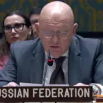 Vasily Nebenzya